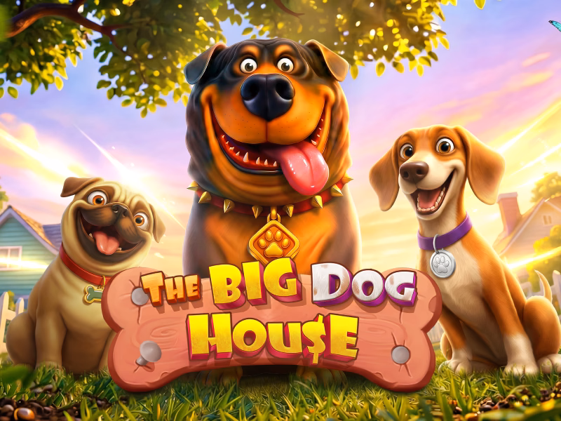 The Big Dog House